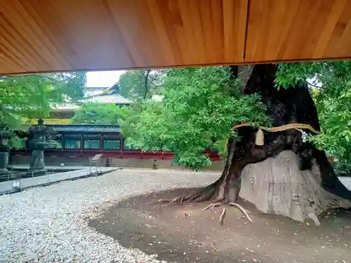 上野東照宮(東京都)