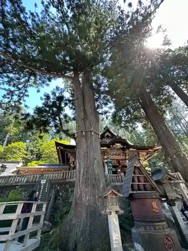 三峯神社(埼玉県)