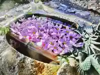 立志神社の手水舎