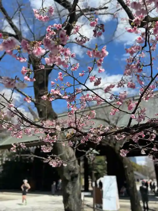 靖國神社(東京都)