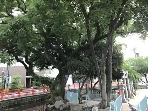 天津神社の庭園