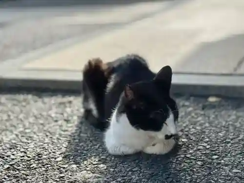 白金氷川神社(東京都)