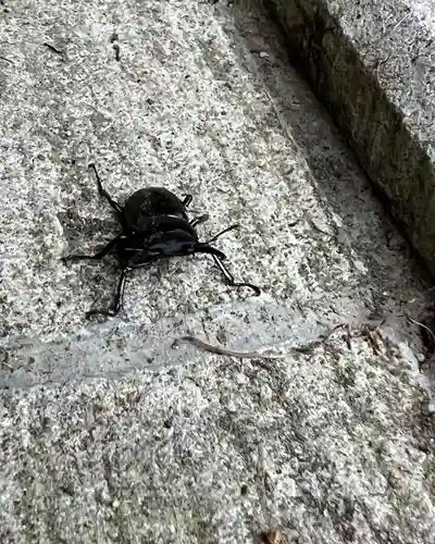 大宮温泉神社(栃木県)