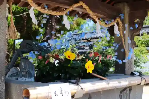 三津厳島神社(愛媛県)