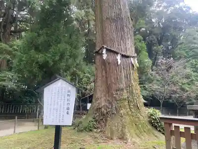 狭野神社(宮崎県)