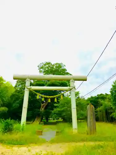 金村別雷神社の鳥居