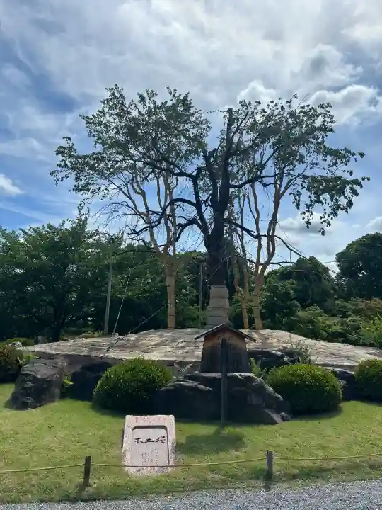 東寺(教王護国寺)(京都府)