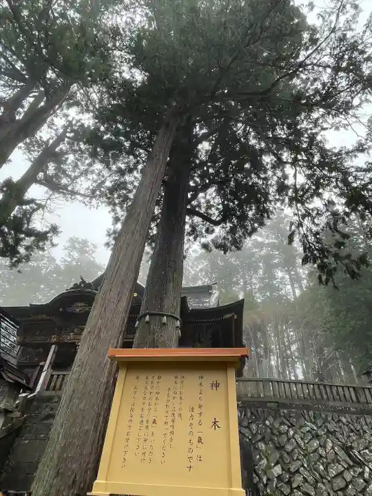 三峯神社(埼玉県)