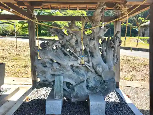 七社神社の建物その他