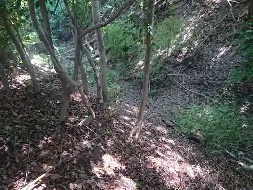 幸稲荷神社の自然