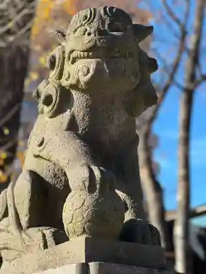 亀有香取神社の狛犬
