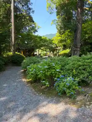 大興善寺の{uncategorized: "未分類", other: "その他", undefined: "問題あり", building: "その他建物", grave: "お墓", sacred_gate: "鳥居", guardian: "狛犬", statue: "像", buddha: "仏像", history: "歴史", nature: "自然", garden: "庭園", animal: "動物", pagoda: "塔", temizu: "手水舎", mountain_gate: "山門・神門", sanctuary: "本殿・本堂", subordinate: "末社・摂社", art: "芸術", scenery: "景色", jizo: "地蔵", ema: "絵馬", goshuin: "御朱印", omikuji: "おみくじ", items: "授与品その他", amulet: "お守り", goshuincho: "御朱印帳", eats: "食事", festival: "お祭り", votive_dance: "神楽", shichigosan: "七五三参", wedding: "結婚式", experience: "体験その他", initially: "初詣", around: "周辺", anti_infection: "感染症対策"}