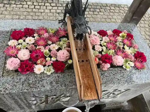 川越八幡宮(埼玉県)