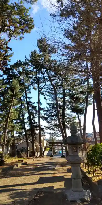 酒匂神社(神奈川県)