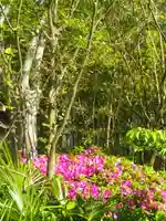 浄光明寺の自然