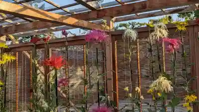 大覚寺(京都府)