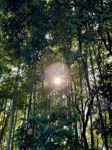 飛鳥寺(三重県)