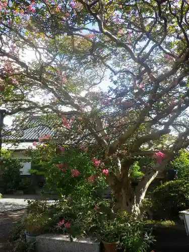 補陀落寺の自然