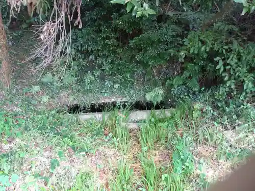 八坂神社/富士浅間神社の手水舎