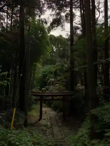 熊野大神(千葉県)