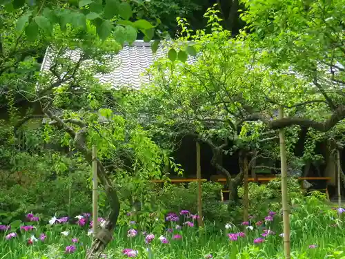 東慶寺の庭園