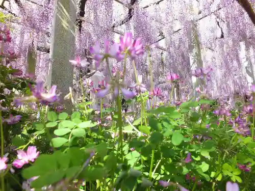 三大神社(滋賀県)