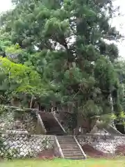 八柱神社(長野県)