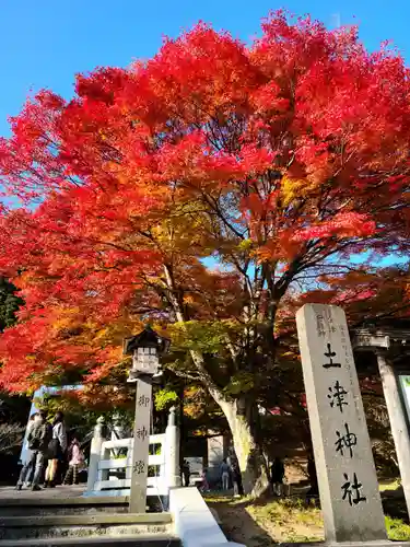 土津神社｜こどもと出世の神さまの自然