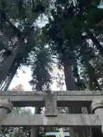 大宮温泉神社(栃木県)