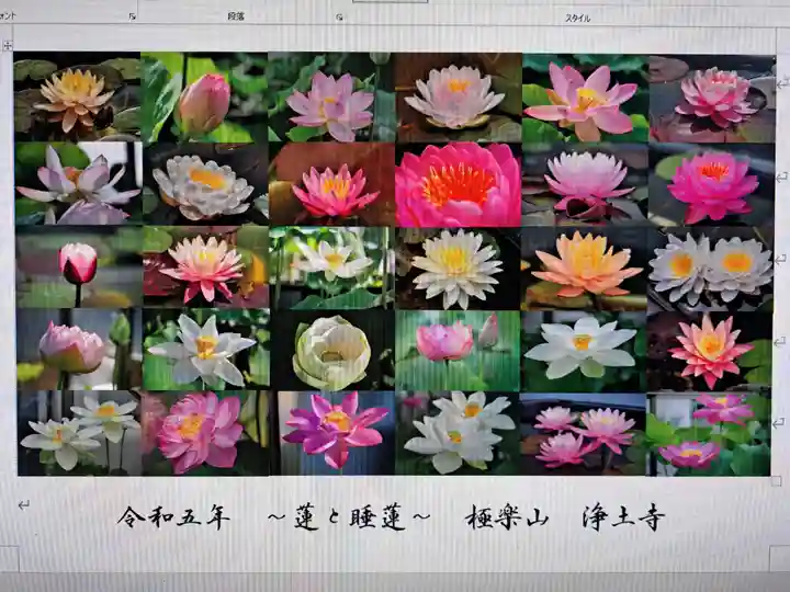 極楽山 浄土寺(北海道)