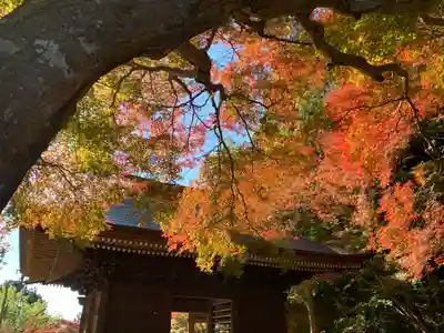 普門寺(切り絵御朱印発祥の寺)の山門・神門