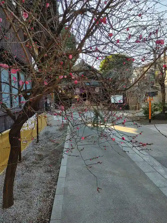 猿田彦神社(東京都)