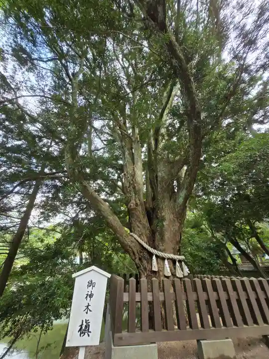 安房神社(千葉県)