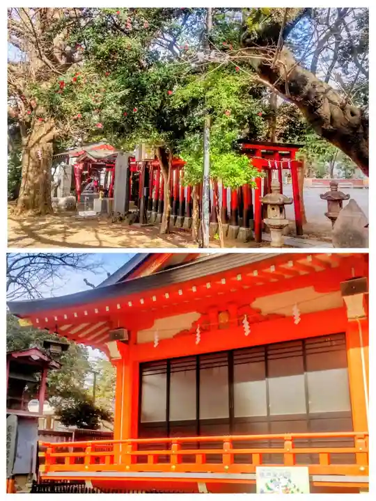 花園神社(東京都)