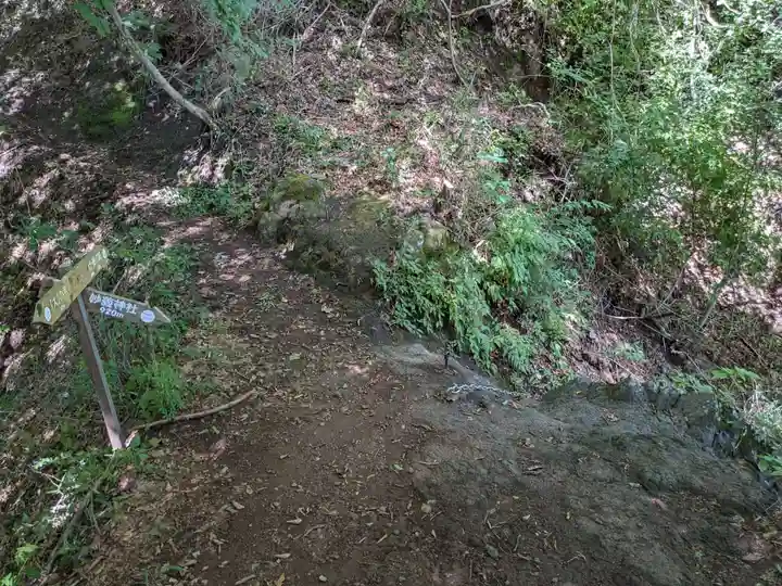 妙義神社 奥の院の自然