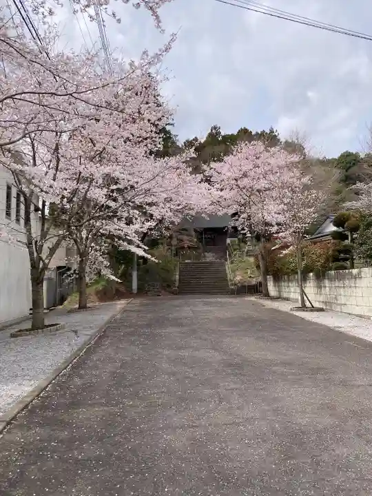 八雲神社(栃木県)