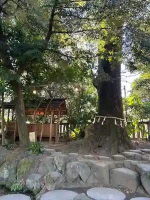 川越氷川神社(埼玉県)