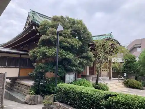 正藏院の本殿・本堂