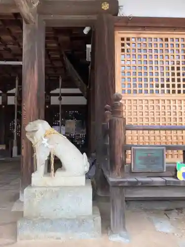 住吉神社の狛犬