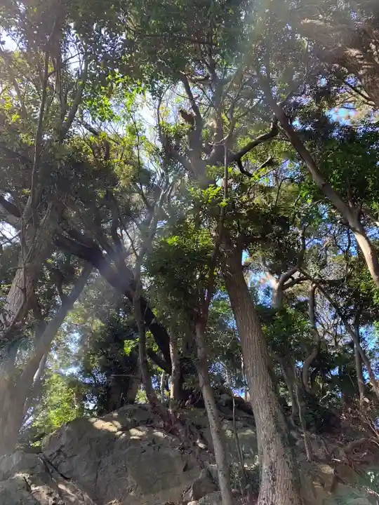 大甕神社の自然