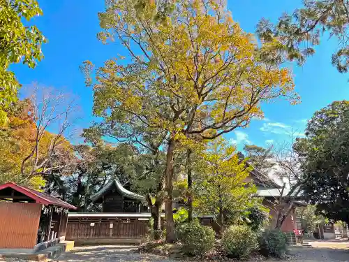 鹿苑神社の自然