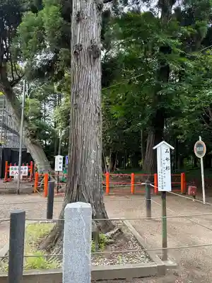 息栖神社(茨城県)