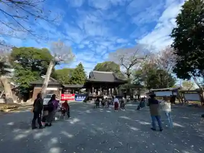 春日神社(福岡県)