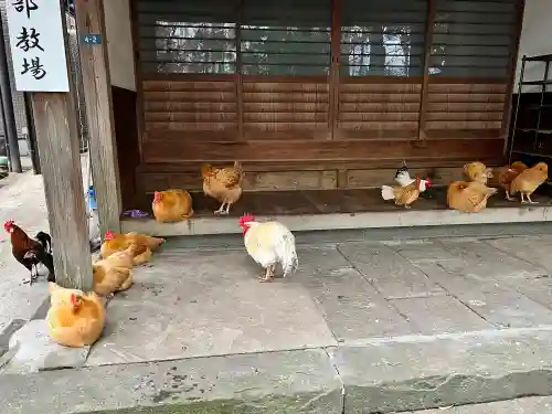 松森天満宮(長崎県)