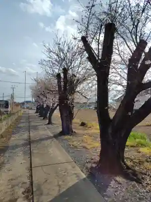  八幡神社(埼玉県)