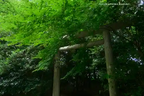 櫻木神社(千葉県)