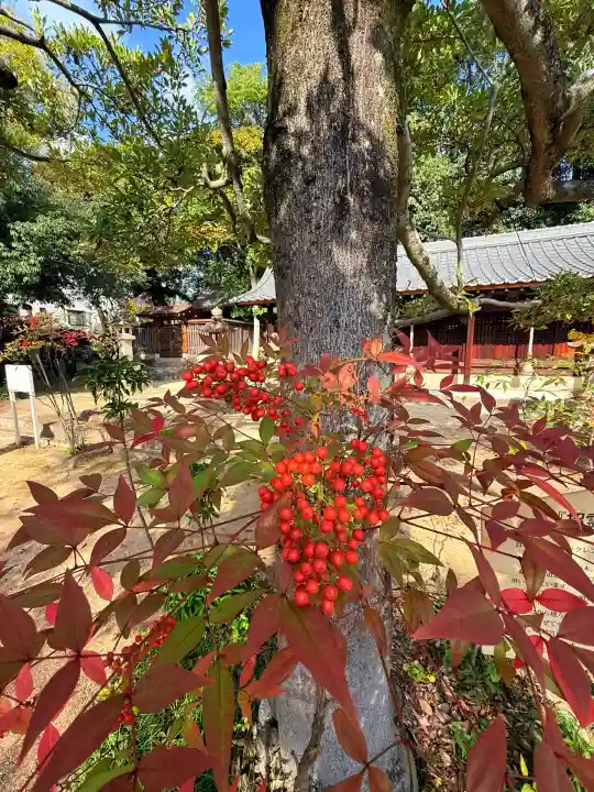 弓弦羽神社(兵庫県)
