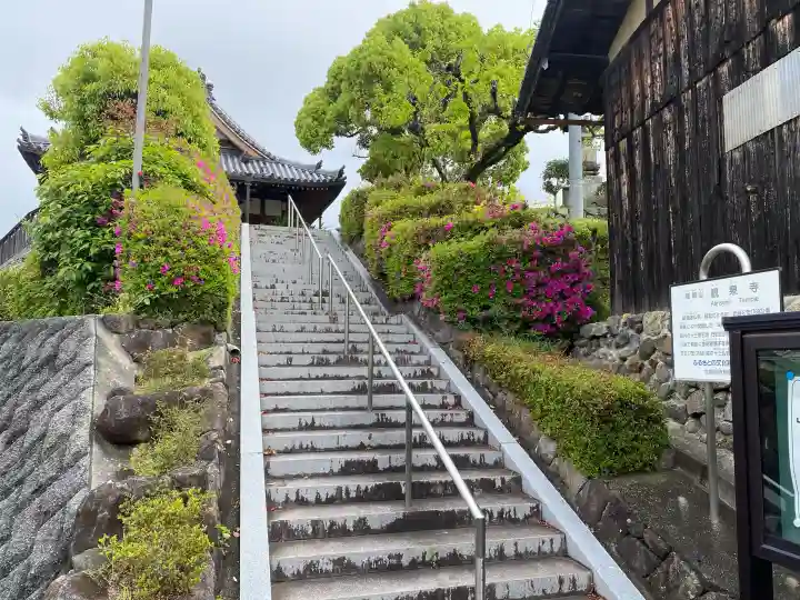 観泉寺の{uncategorized: "未分類", other: "その他", undefined: "問題あり", building: "その他建物", grave: "お墓", sacred_gate: "鳥居", guardian: "狛犬", statue: "像", buddha: "仏像", history: "歴史", nature: "自然", garden: "庭園", animal: "動物", pagoda: "塔", temizu: "手水舎", mountain_gate: "山門・神門", sanctuary: "本殿・本堂", subordinate: "末社・摂社", art: "芸術", scenery: "景色", jizo: "地蔵", ema: "絵馬", goshuin: "御朱印", omikuji: "おみくじ", items: "授与品その他", amulet: "お守り", goshuincho: "御朱印帳", eats: "食事", festival: "お祭り", votive_dance: "神楽", shichigosan: "七五三参", wedding: "結婚式", experience: "体験その他", initially: "初詣", around: "周辺", anti_infection: "感染症対策"}