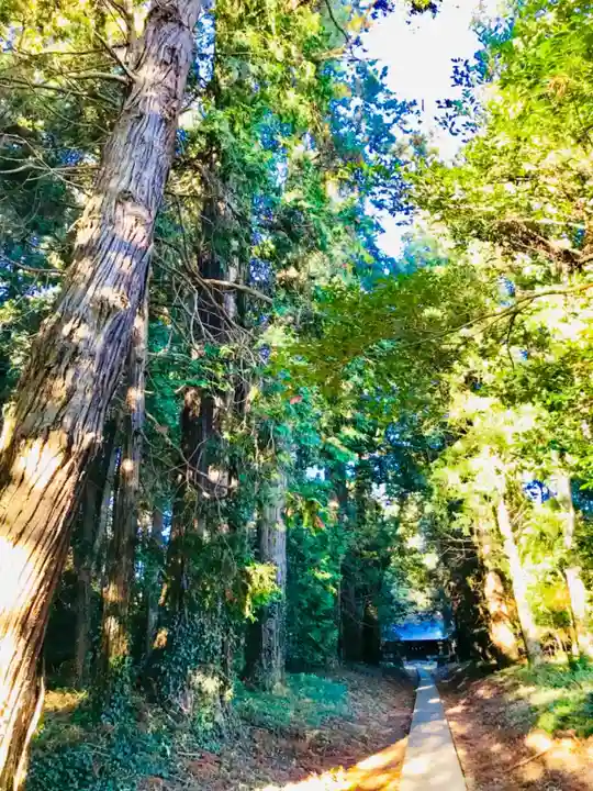 阿弥神社(茨城県)