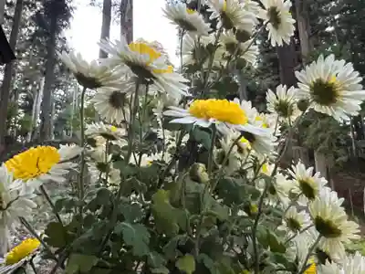 大宮温泉神社(栃木県)
